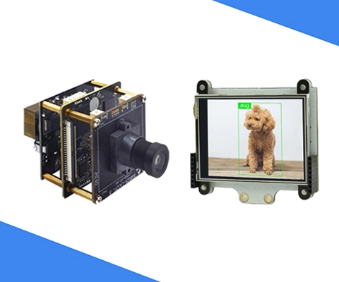 AI Detection and Recognition