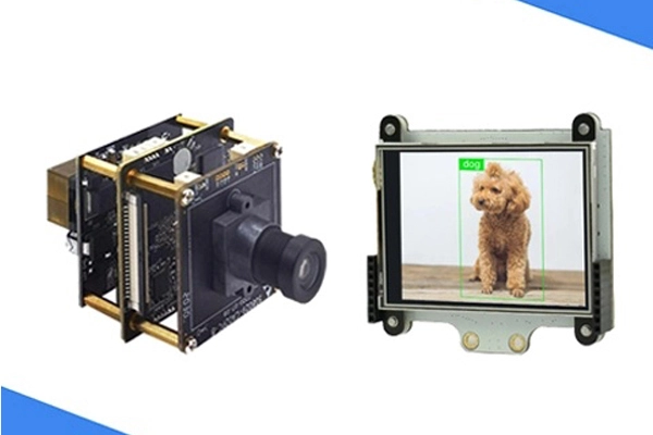 AI Detection and Recognition