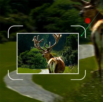 Typical Process of Starcore Imaging Camera Solutions