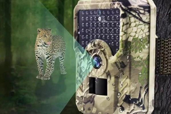 Camera Solution in Hunting Camera
