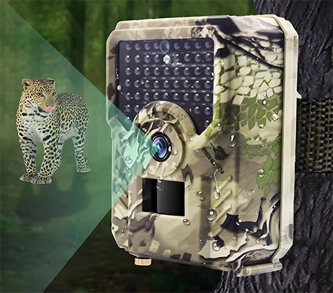 Hunting Camera