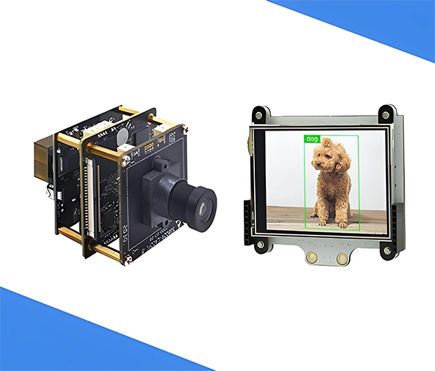 AI Detection and Recognition